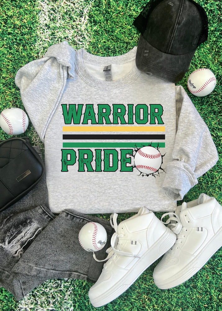 Custom Team Pride Baseball Sweatshirt (BASEBALL1023-DTG-SS)