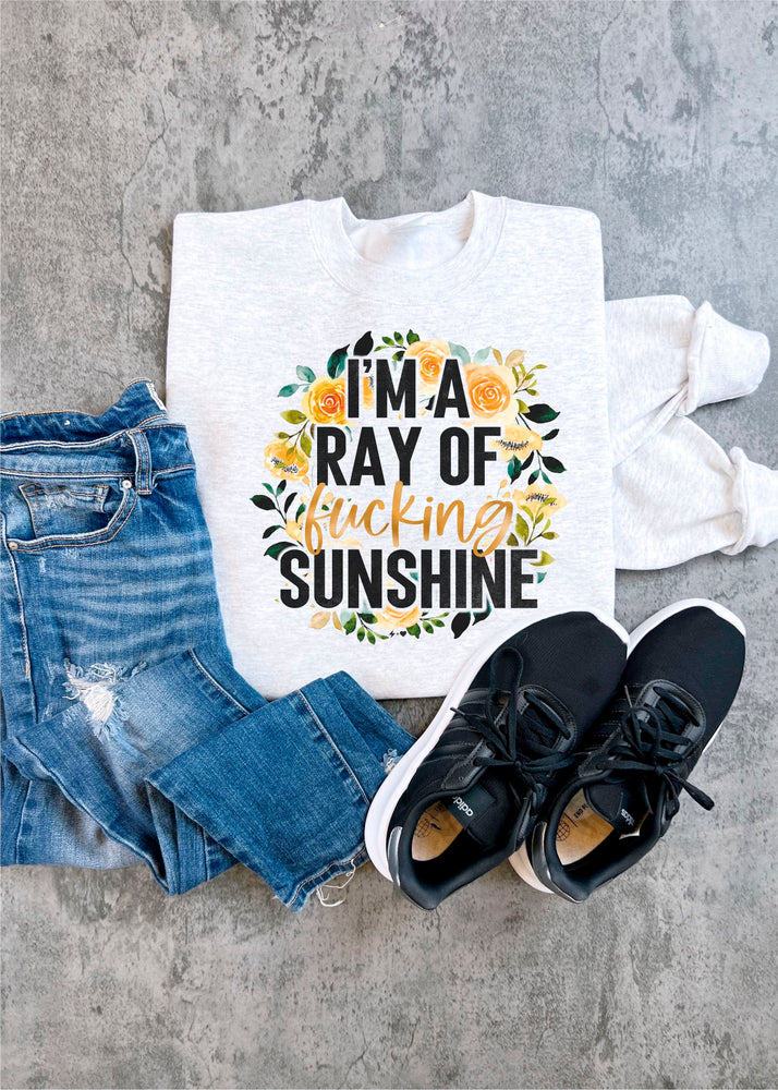 Ray of Sunshine Snarky Sweatshirt (SNARKY1010-DTG-SS)